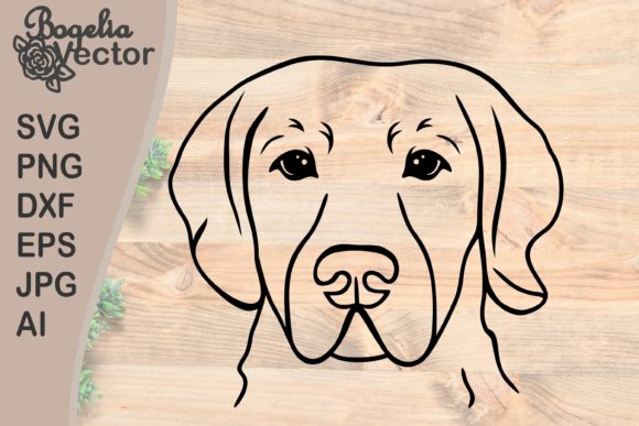 Review: Labrador Retriever Face